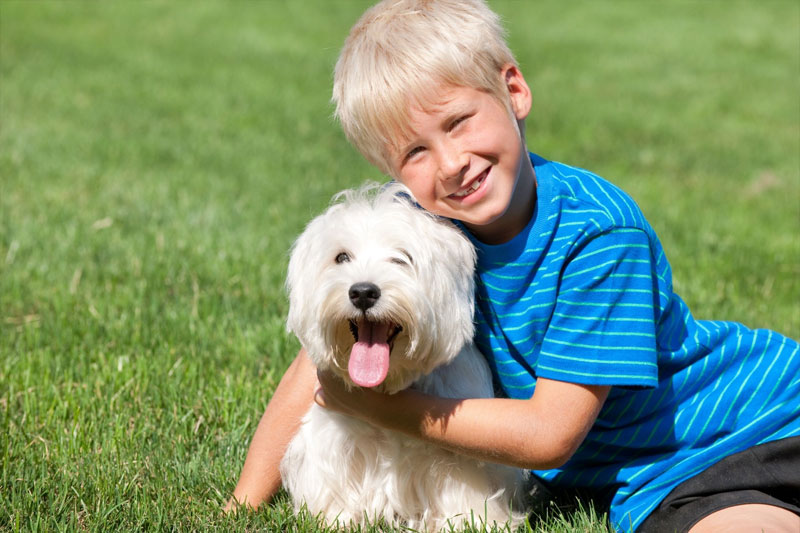 Prairie Dog Town Mackenzie Park